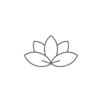 lotus fond blanc