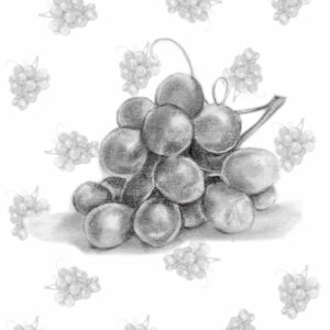 grappe raisin fruit dessin illustration realiste crayon