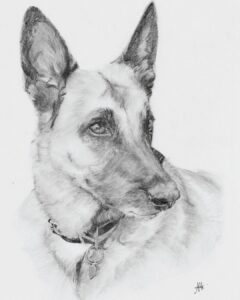 portrait animalier chien illustration realiste crayon commande particulier cadeau