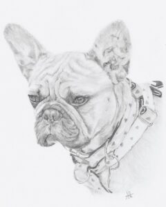 portrait animalier chien illustration realiste crayon commande particulier cadeau