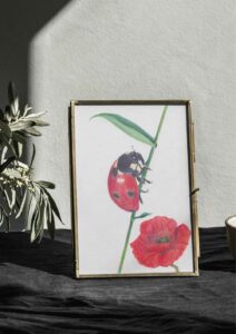 affiche Deco coccinelle coquelicot crayons de couleur