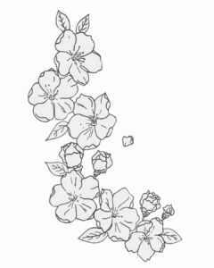 fleurs feutre noir croquis illustrations